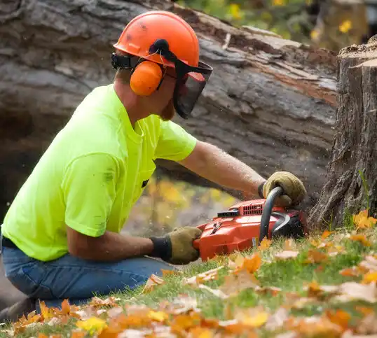 tree services Grain Valley